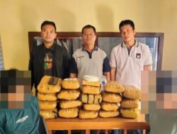Polda Sumatera Barat berhasil menggagalkan peredaran 19 kilogram ganja yang akan disebar oleh dua orang pemuda