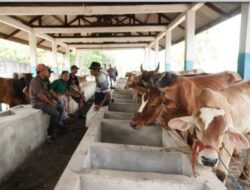 Enos Berharap Pasar Hewan Desa Margodadi Dapat Mendongkrak Perekonomian Masyarakat