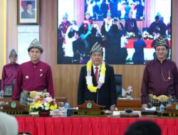 Wagub Cik Ujang Apresiasi Kemandirian Kabupaten Ogan Ilir di Usia ke-22