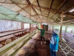 Modernisasi Sektor Industri Primer, Lebih dari 390 Ribu Pelanggan Manfaatkan Program Electrifying Agriculture dan Marine PLN Hingga 2025