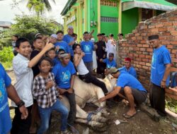 Wujud Kepedulian Nyata, DPC GEKRAFS Palembang Salurkan Tiga Ekor Sapi