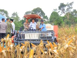 Wagub Sumsel Cik Ujang Ajak Petani Perkuat Swasembada Pangan saat Panen Raya Jagung di OKU Selatan