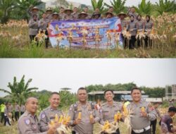 Polri Dukung Ketahanan Pangan Nasional, Satlantas Polres Karawang Ikuti Panen Raya Jagung Serentak Kuartal II