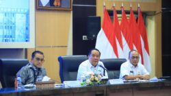 Komitmen Jalankan PSN, Wagub Cik Ujang Paparkan Kinerja dan Potensi Sumsel kepada Komisi II DPR RI